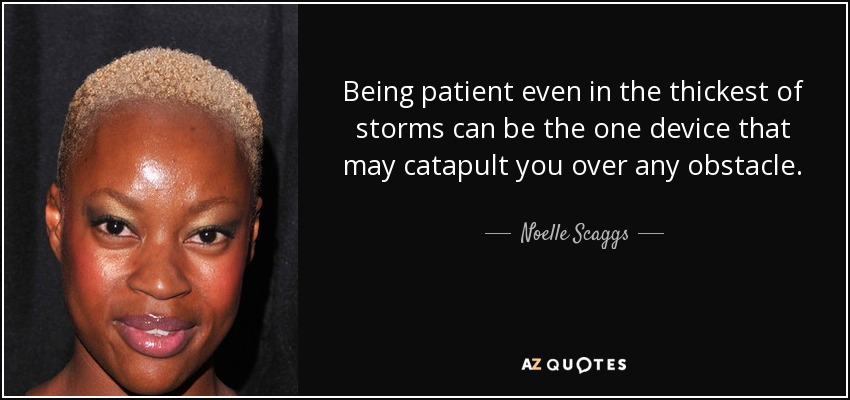 Being patient even in the thickest of storms can be the one device that may catapult you over any obstacle. - Noelle Scaggs