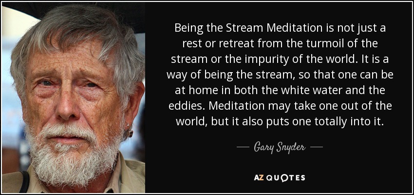Being the Stream Meditation is not just a rest or retreat from the turmoil of the stream or the impurity of the world. It is a way of being the stream, so that one can be at home in both the white water and the eddies. Meditation may take one out of the world, but it also puts one totally into it. - Gary Snyder