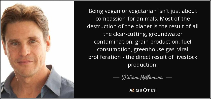 Being vegan or vegetarian isn't just about compassion for animals. Most of the destruction of the planet is the result of all the clear-cutting, groundwater contamination, grain production, fuel consumption, greenhouse gas, viral proliferation - the direct result of livestock production. - William McNamara