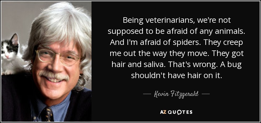 Being veterinarians, we're not supposed to be afraid of any animals. And I'm afraid of spiders. They creep me out the way they move. They got hair and saliva. That's wrong. A bug shouldn't have hair on it. - Kevin Fitzgerald