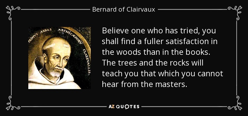 Believe one who has tried, you shall find a fuller satisfaction in the woods than in the books. The trees and the rocks will teach you that which you cannot hear from the masters. - Bernard of Clairvaux