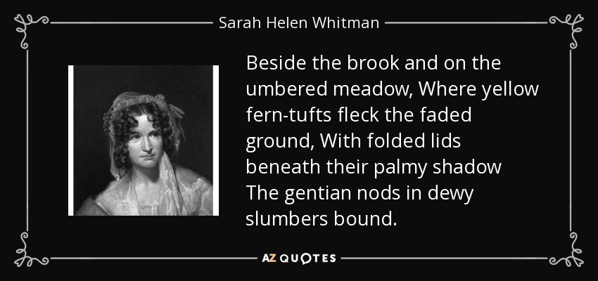 Beside the brook and on the umbered meadow, Where yellow fern-tufts fleck the faded ground, With folded lids beneath their palmy shadow The gentian nods in dewy slumbers bound. - Sarah Helen Whitman