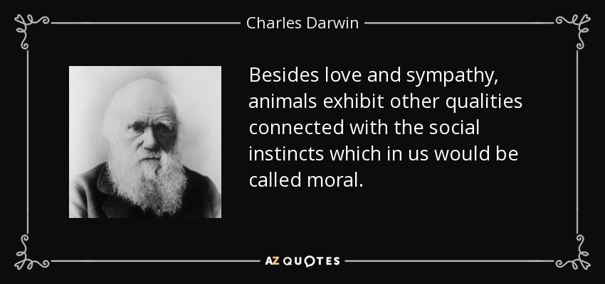 Besides love and sympathy, animals exhibit other qualities connected with the social instincts which in us would be called moral. - Charles Darwin