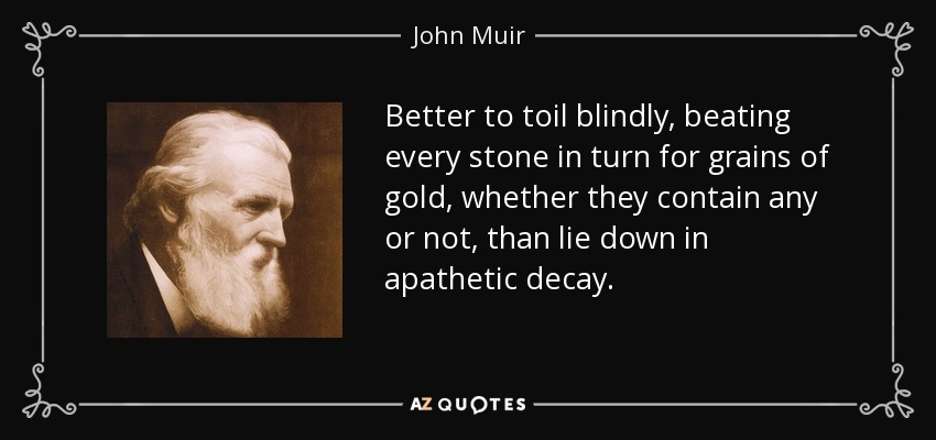 Better to toil blindly, beating every stone in turn for grains of gold, whether they contain any or not, than lie down in apathetic decay. - John Muir