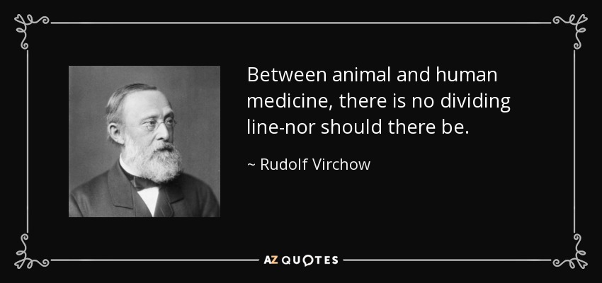 Between animal and human medicine, there is no dividing line-nor should there be. - Rudolf Virchow