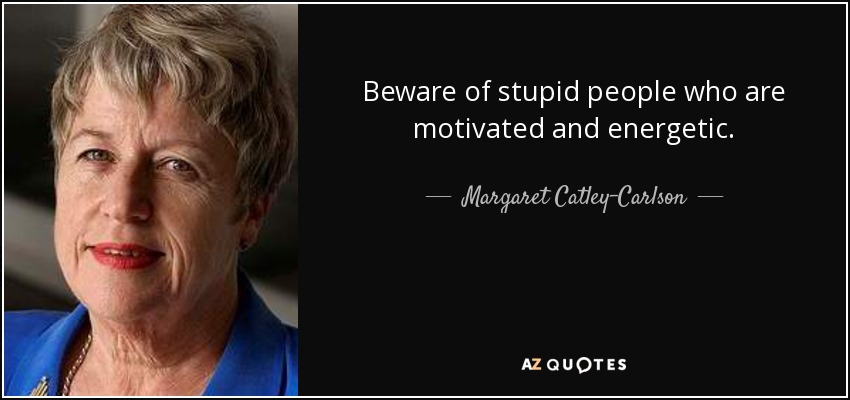 Beware of stupid people who are motivated and energetic. - Margaret Catley-Carlson