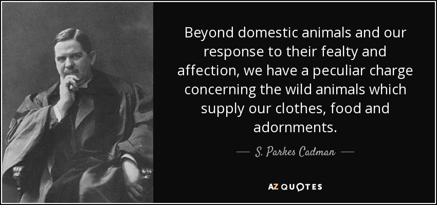 Beyond domestic animals and our response to their fealty and affection, we have a peculiar charge concerning the wild animals which supply our clothes, food and adornments. - S. Parkes Cadman