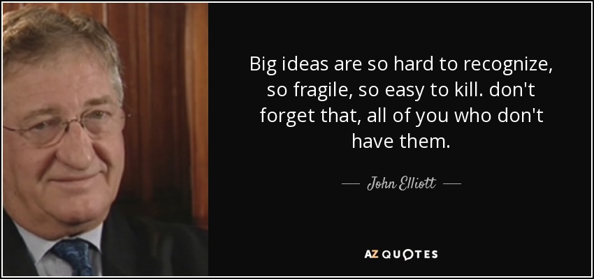 Big ideas are so hard to recognize, so fragile, so easy to kill. don't forget that, all of you who don't have them. - John Elliott