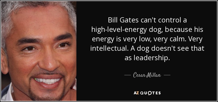 Bill Gates can't control a high-level-energy dog, because his energy is very low, very calm. Very intellectual. A dog doesn't see that as leadership. - Cesar Millan