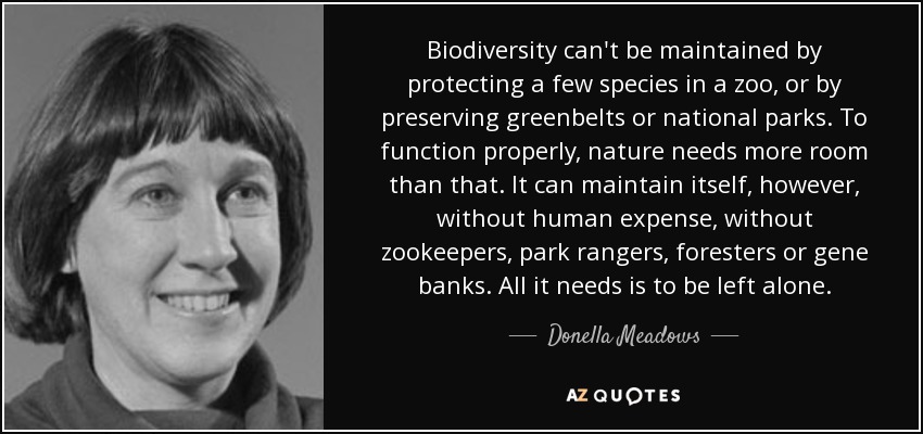 Biodiversity can't be maintained by protecting a few species in a zoo, or by preserving greenbelts or national parks. To function properly, nature needs more room than that. It can maintain itself, however, without human expense, without zookeepers, park rangers, foresters or gene banks. All it needs is to be left alone. - Donella Meadows