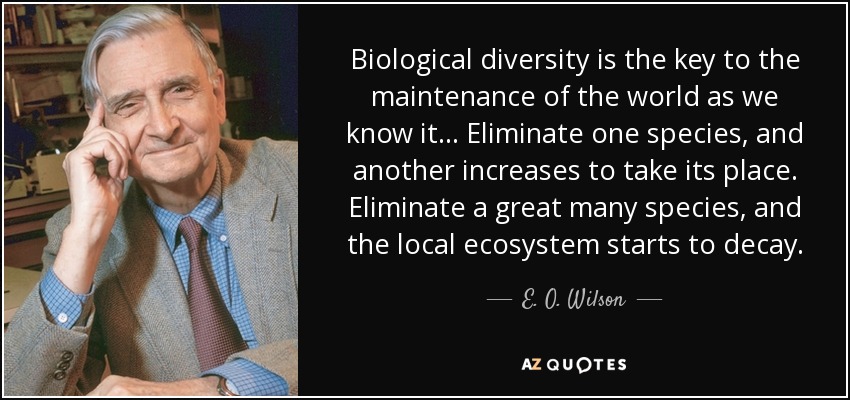 Biological diversity is the key to the maintenance of the world as we know it... Eliminate one species, and another increases to take its place. Eliminate a great many species, and the local ecosystem starts to decay. - E. O. Wilson
