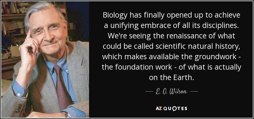 Biology has finally opened up to achieve a unifying embrace of all its disciplines. We're seeing the renaissance of what could be called scientific natural history, which makes available the groundwork - the foundation work - of what is actually on the Earth. - E. O. Wilson