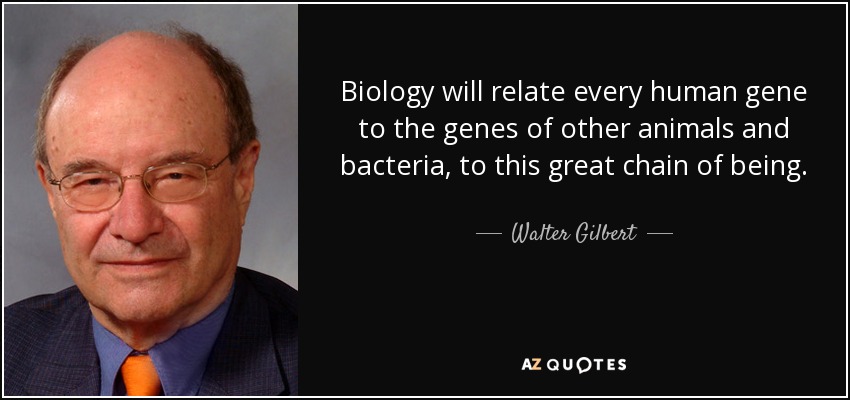 Biology will relate every human gene to the genes of other animals and bacteria, to this great chain of being. - Walter Gilbert