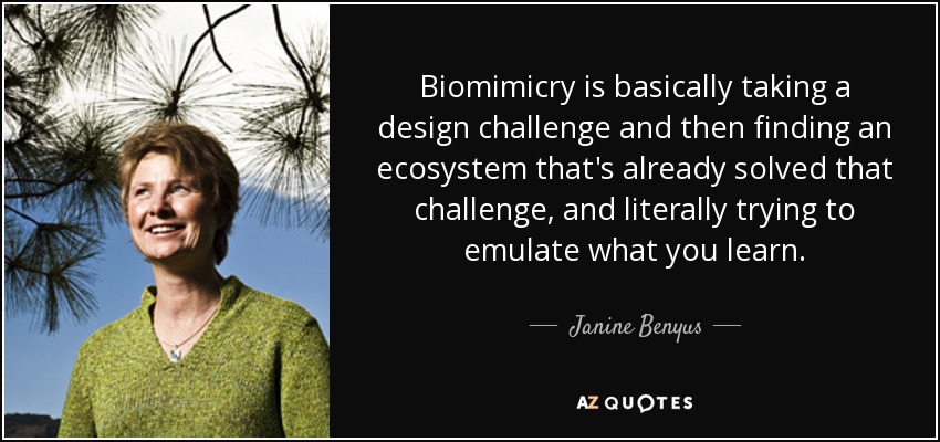 Biomimicry is basically taking a design challenge and then finding an ecosystem that's already solved that challenge, and literally trying to emulate what you learn. - Janine Benyus