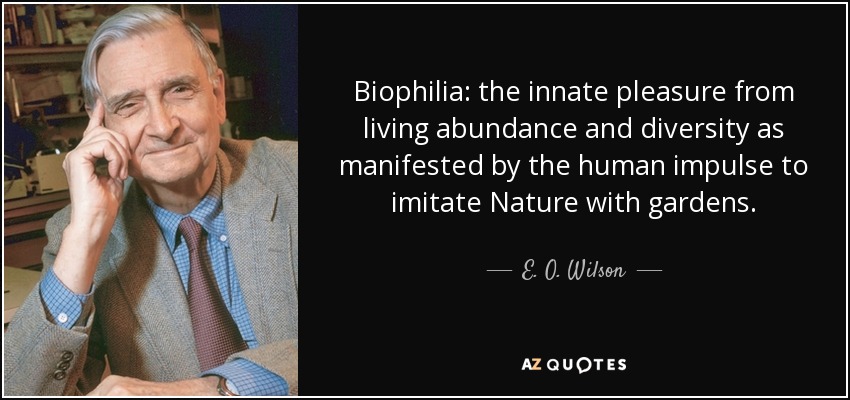 Biophilia: the innate pleasure from living abundance and diversity as manifested by the human impulse to imitate Nature with gardens. - E. O. Wilson