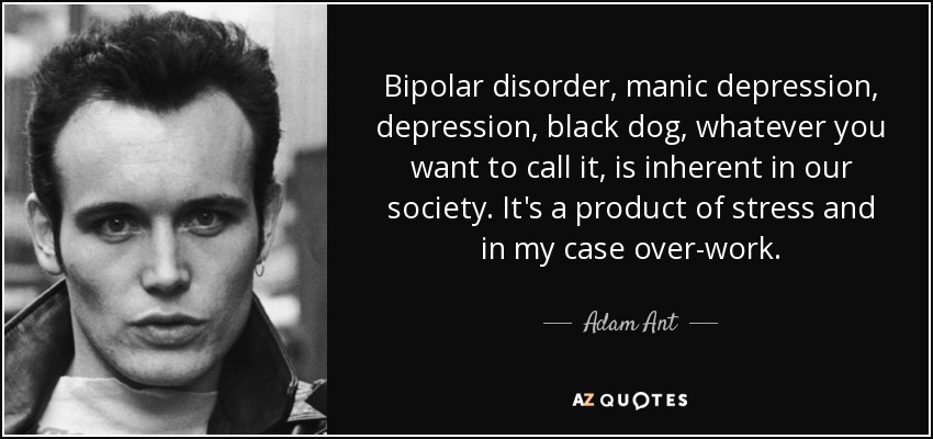 Bipolar disorder, manic depression, depression, black dog, whatever you want to call it, is inherent in our society. It's a product of stress and in my case over-work. - Adam Ant