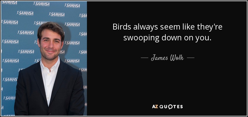 Birds always seem like they're swooping down on you. - James Wolk