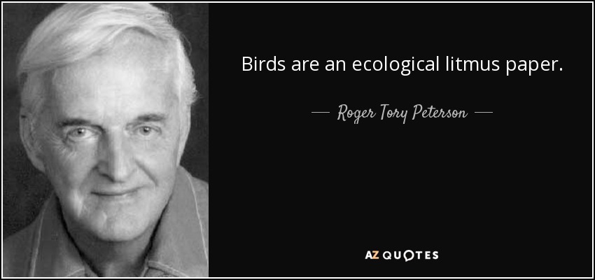 Birds are an ecological litmus paper. - Roger Tory Peterson