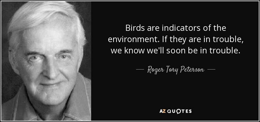 Birds are indicators of the environment. If they are in trouble, we know we'll soon be in trouble. - Roger Tory Peterson