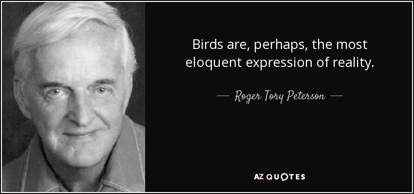 Birds are, perhaps, the most eloquent expression of reality. - Roger Tory Peterson
