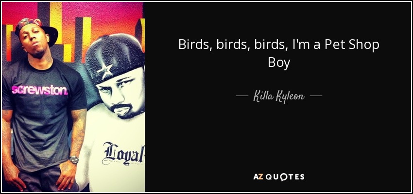 Birds, birds, birds, I'm a Pet Shop Boy - Killa Kyleon