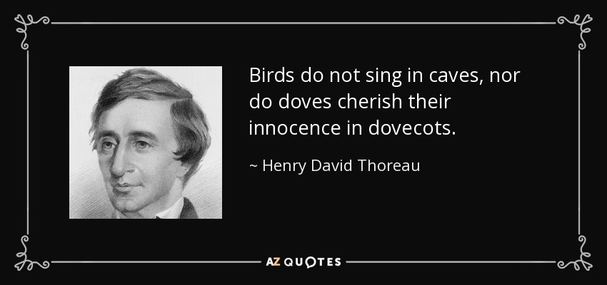 Birds do not sing in caves, nor do doves cherish their innocence in dovecots. - Henry David Thoreau