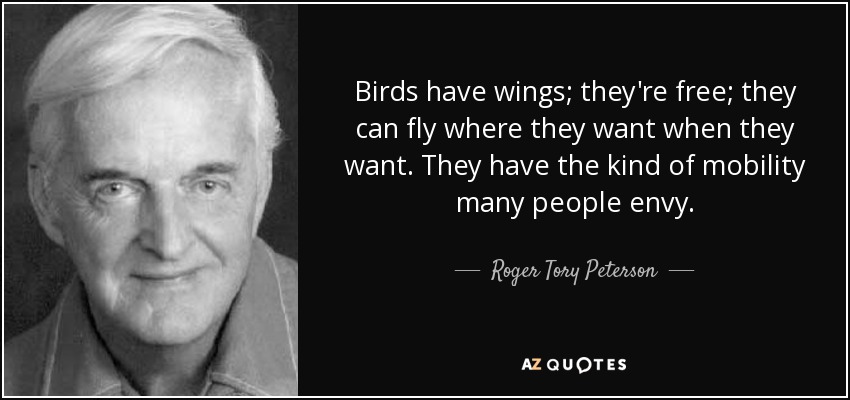 Birds have wings; they're free; they can fly where they want when they want. They have the kind of mobility many people envy. - Roger Tory Peterson