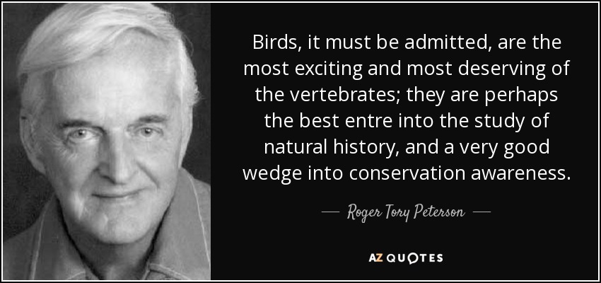 Birds, it must be admitted, are the most exciting and most deserving of the vertebrates; they are perhaps the best entre into the study of natural history, and a very good wedge into conservation awareness. - Roger Tory Peterson