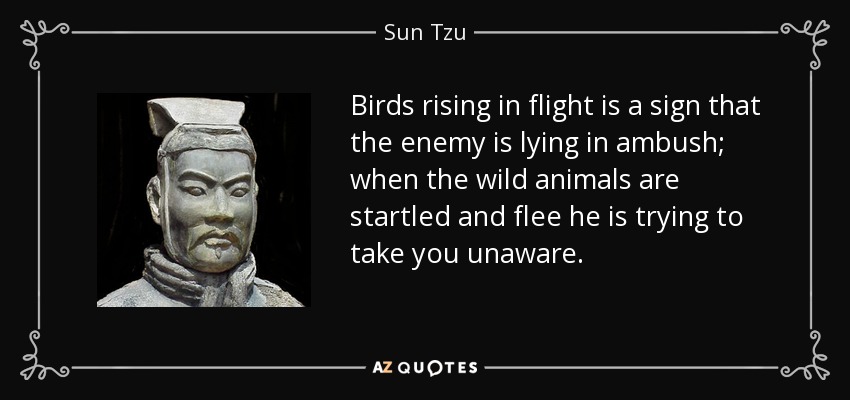 Birds rising in flight is a sign that the enemy is lying in ambush; when the wild animals are startled and flee he is trying to take you unaware. - Sun Tzu