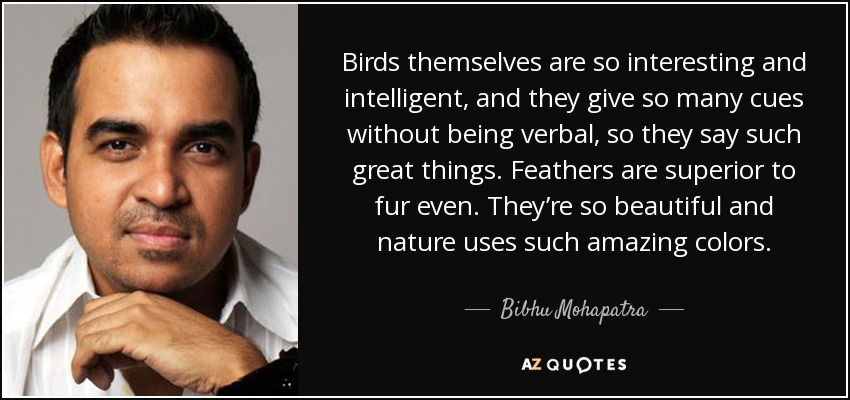 Birds themselves are so interesting and intelligent, and they give so many cues without being verbal, so they say such great things. Feathers are superior to fur even. They’re so beautiful and nature uses such amazing colors. - Bibhu Mohapatra