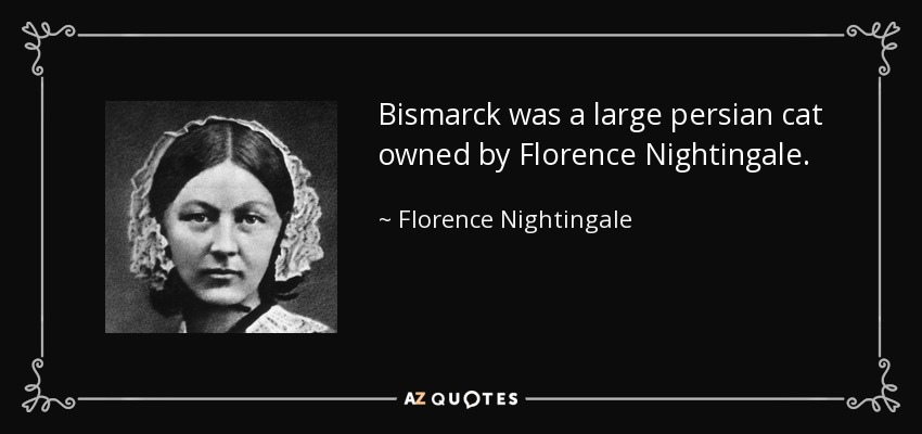 Bismarck was a large persian cat owned by Florence Nightingale. - Florence Nightingale
