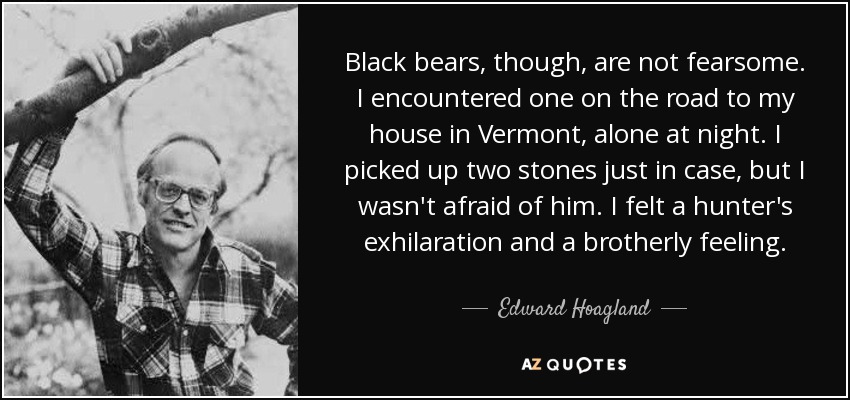 Black bears, though, are not fearsome. I encountered one on the road to my house in Vermont, alone at night. I picked up two stones just in case, but I wasn't afraid of him. I felt a hunter's exhilaration and a brotherly feeling. - Edward Hoagland