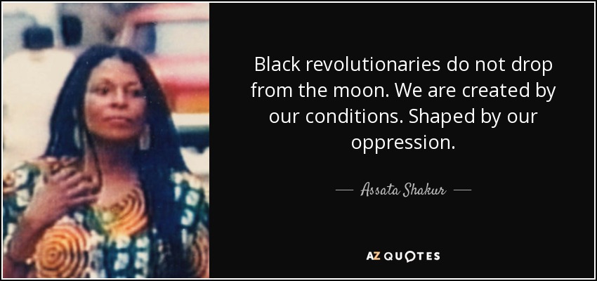 Black revolutionaries do not drop from the moon. We are created by our conditions. Shaped by our oppression. - Assata Shakur
