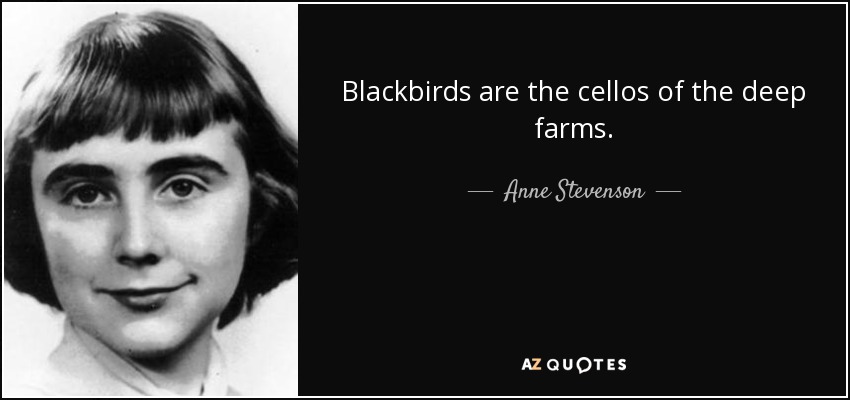Blackbirds are the cellos of the deep farms. - Anne Stevenson