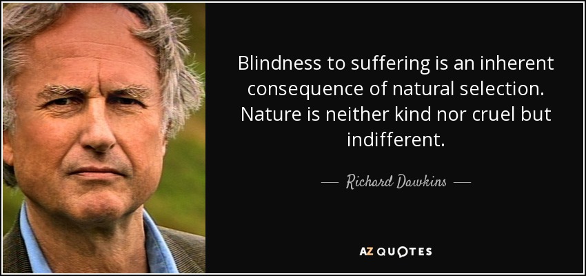 Blindness to suffering is an inherent consequence of natural selection. Nature is neither kind nor cruel but indifferent. - Richard Dawkins