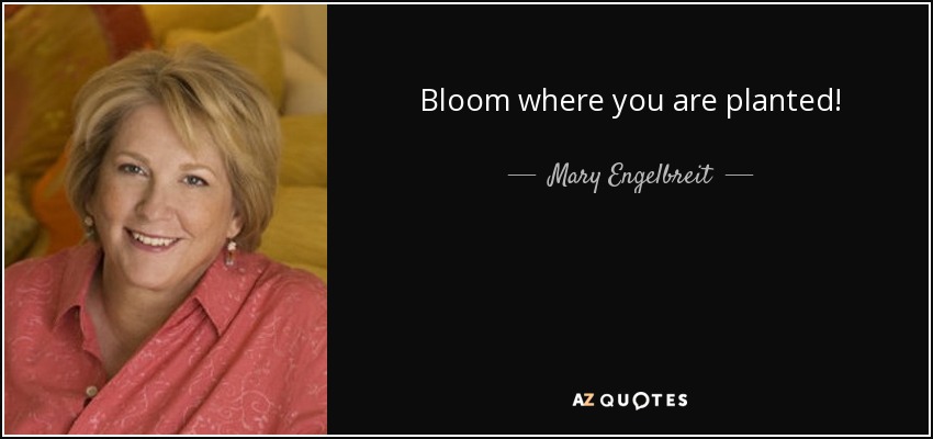 Bloom where you are planted! - Mary Engelbreit