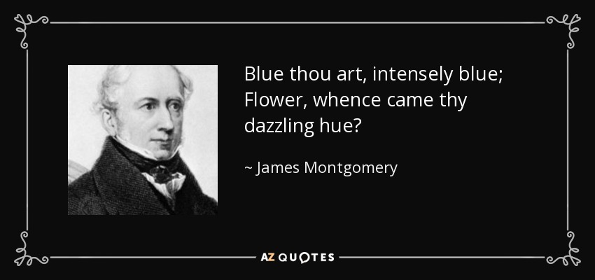 Blue thou art, intensely blue; Flower, whence came thy dazzling hue? - James Montgomery