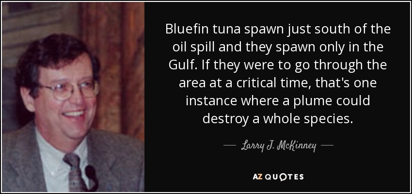 Bluefin tuna spawn just south of the oil spill and they spawn only in the Gulf. If they were to go through the area at a critical time, that's one instance where a plume could destroy a whole species. - Larry J. McKinney