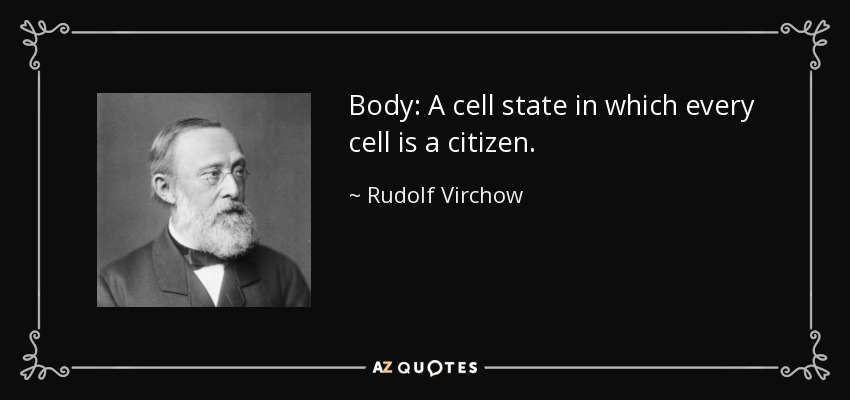 Body: A cell state in which every cell is a citizen. - Rudolf Virchow
