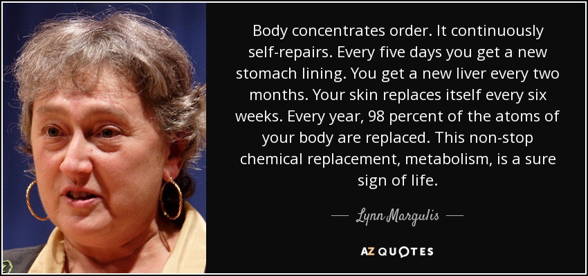 Body concentrates order. It continuously self-repairs. Every five days you get a new stomach lining. You get a new liver every two months. Your skin replaces itself every six weeks. Every year, 98 percent of the atoms of your body are replaced. This non-stop chemical replacement, metabolism, is a sure sign of life. - Lynn Margulis