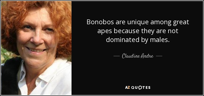 Bonobos are unique among great apes because they are not dominated by males. - Claudine Andre