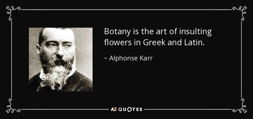 Botany is the art of insulting flowers in Greek and Latin. - Alphonse Karr