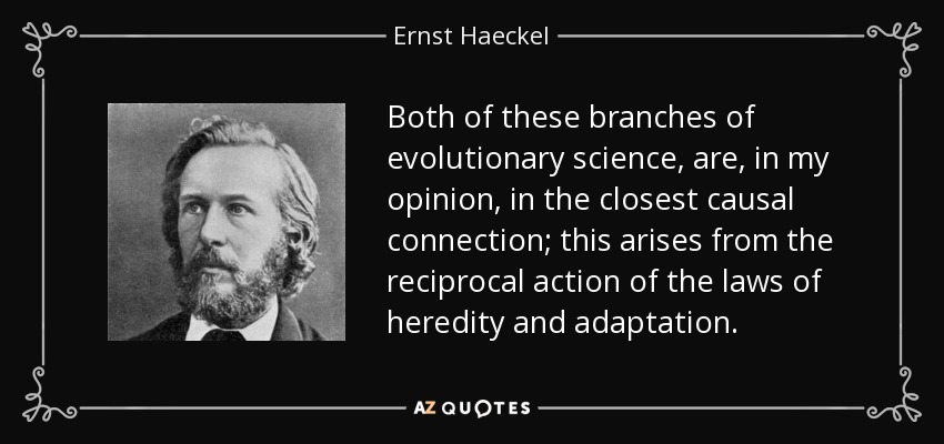 Both of these branches of evolutionary science, are, in my opinion, in the closest causal connection; this arises from the reciprocal action of the laws of heredity and adaptation. - Ernst Haeckel