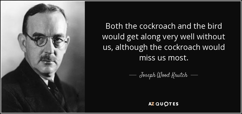 Both the cockroach and the bird would get along very well without us, although the cockroach would miss us most. - Joseph Wood Krutch