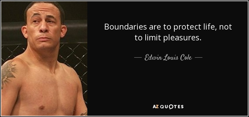 Boundaries are to protect life, not to limit pleasures. - Edwin Louis Cole