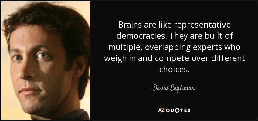 Brains are like representative democracies. They are built of multiple, overlapping experts who weigh in and compete over different choices. - David Eagleman