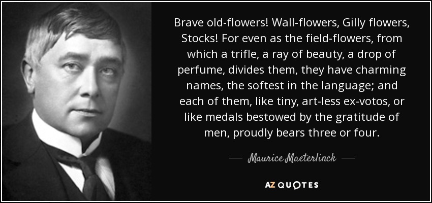 Brave old-flowers! Wall-flowers, Gilly flowers, Stocks! For even as the field-flowers, from which a trifle, a ray of beauty, a drop of perfume, divides them, they have charming names, the softest in the language; and each of them, like tiny, art-less ex-votos, or like medals bestowed by the gratitude of men, proudly bears three or four. - Maurice Maeterlinck