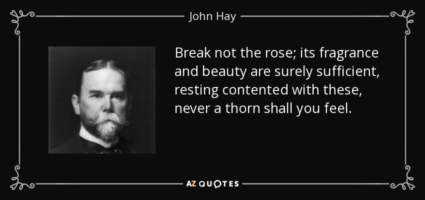 Break not the rose; its fragrance and beauty are surely sufficient, resting contented with these, never a thorn shall you feel. - John Hay