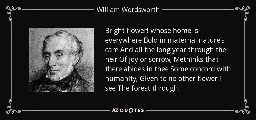 Bright flower! whose home is everywhere Bold in maternal nature's care And all the long year through the heir Of joy or sorrow, Methinks that there abides in thee Some concord with humanity, Given to no other flower I see The forest through. - William Wordsworth