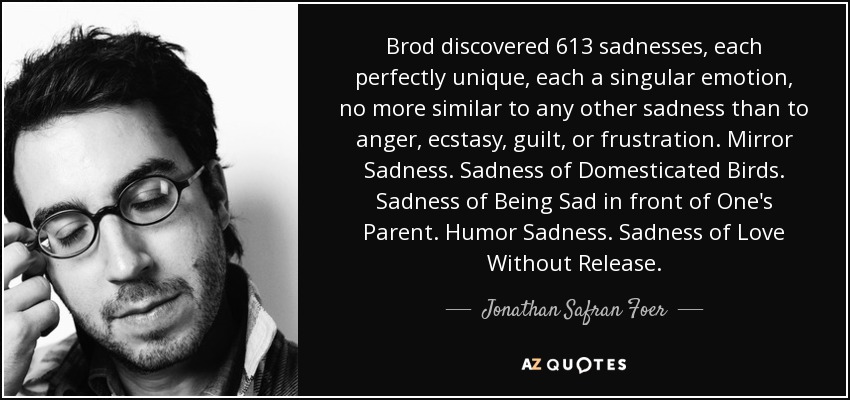 Brod discovered 613 sadnesses, each perfectly unique, each a singular emotion, no more similar to any other sadness than to anger, ecstasy, guilt, or frustration. Mirror Sadness. Sadness of Domesticated Birds. Sadness of Being Sad in front of One's Parent. Humor Sadness. Sadness of Love Without Release. - Jonathan Safran Foer